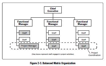 Weak Matrix Organisation